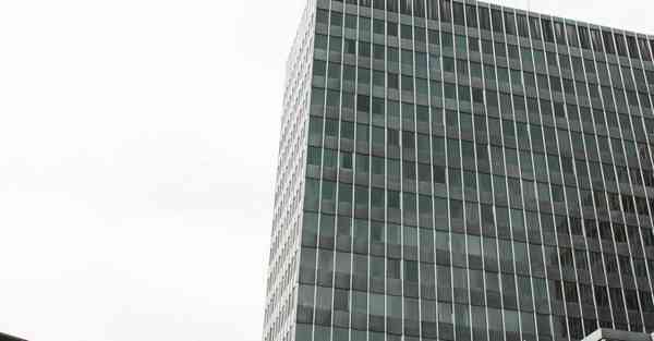 豌豆配什么菜一起炒_豌豆配什么菜炒好吃