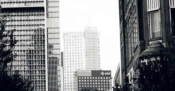 开水泡什么减肥_开水泡什么减肥最快