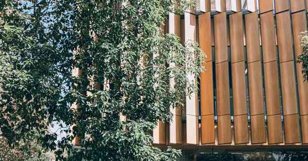 歌手拍摄mv_歌手拍摄mv给多少钱