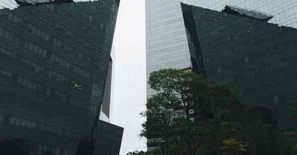 拍摄美食视频_拍摄美食视频需要的设备