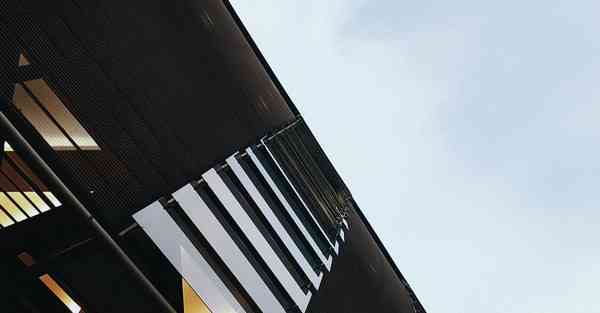 小橡皮是什么意思_小橡皮是什么意思呢