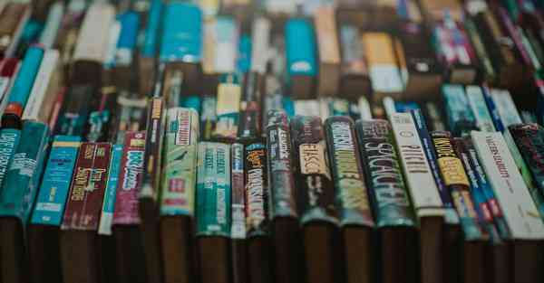 黎明拍摄的MV_腊梅怕霜冻吗