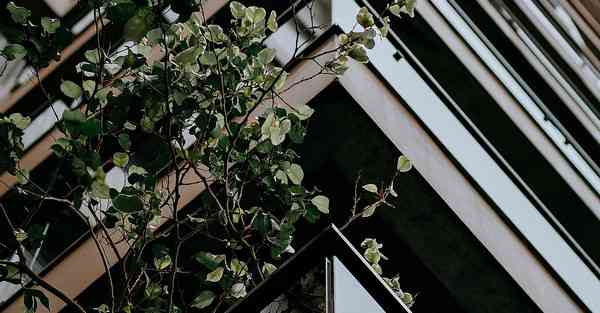 在拍摄MV_在拍摄时怎么操作相机镜头拍摄的更清晰